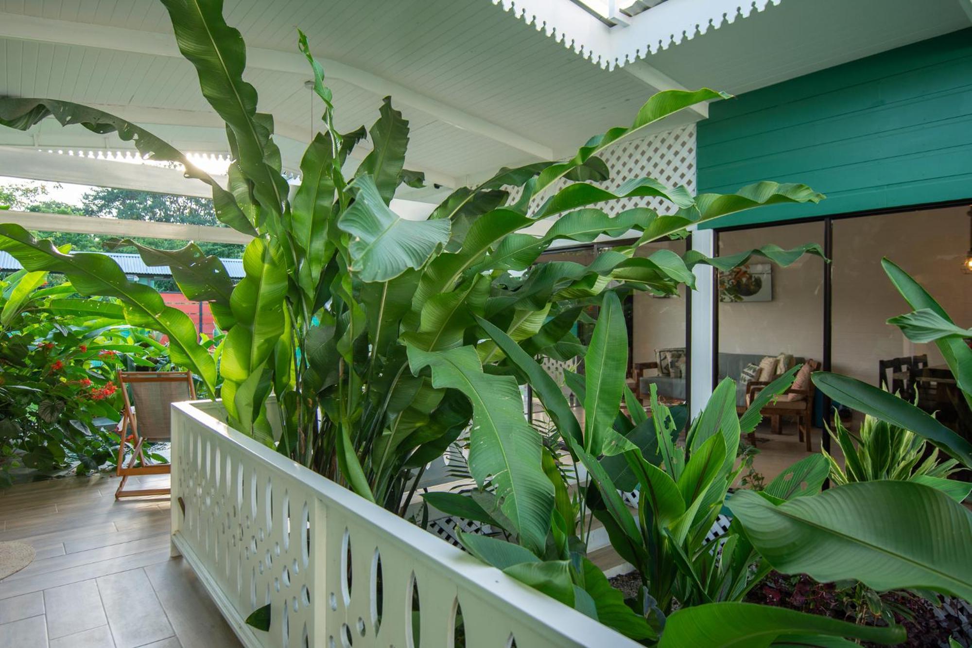 Namaitami Casa Hermosa Con Ac Y Piscina A Solo 650 Metros Del Parque Nacional Кахуита Екстериор снимка